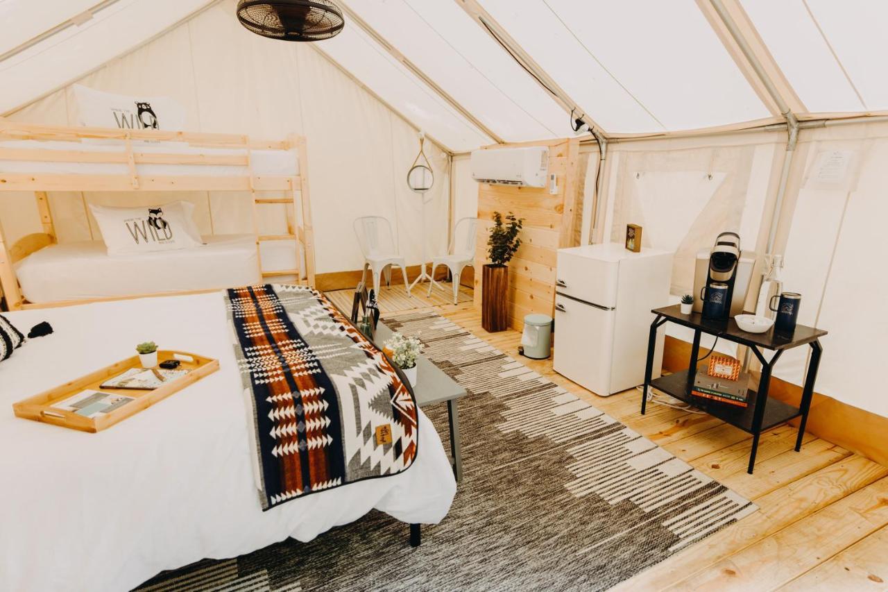 ホテル Timberline Glamping At Unicoi State Park ヘレン エクステリア 写真